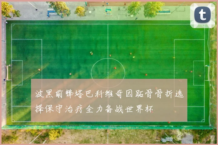 波黑前锋塔巴科维奇因跖骨骨折选择保守治疗全力备战世界杯