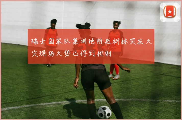 瑞士国家队集训地附近树林突发火灾现场火势已得到控制